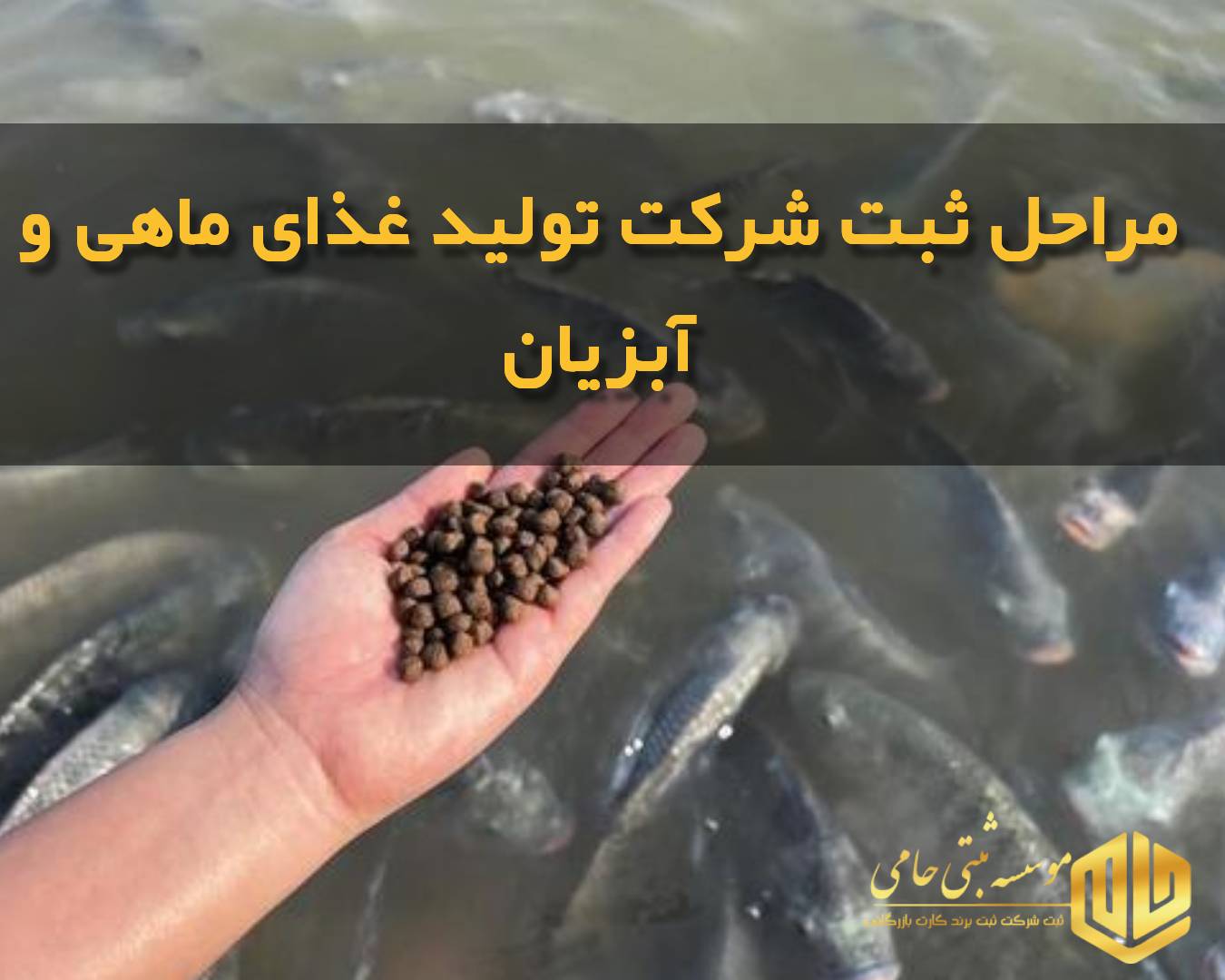مراحل ثبت شرکت تولید غذای ماهی و آبزیان