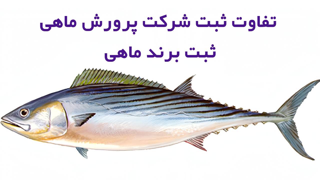 تفاوت اصلی ثبت برند پرورش ماهی و ثبت شرکت پرورش ماهی در شمال